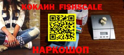 гидропоника Камышлов
