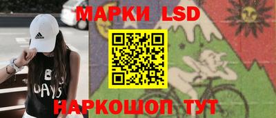 гидропоника Камышлов