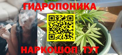 ГАЛЛЮЦИНОГЕННЫЕ ГРИБЫ Кандалакша