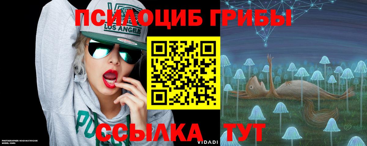 Касимов  Псилоцибиновые грибы Magic Shrooms  Вход с VPN 