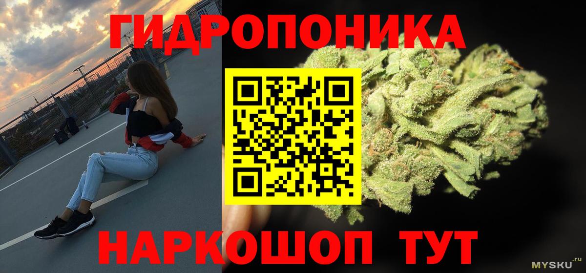 Бошки марихуана индика  Вход с VPN  Бошки Шишки семена  МАРИХУАНА план  Касимов 